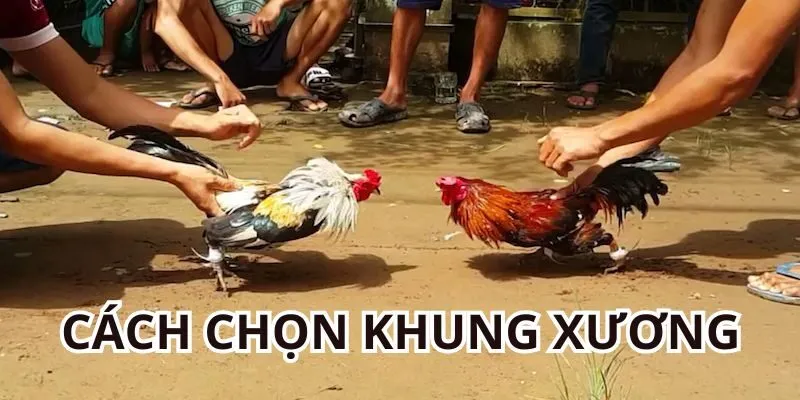 Cách chọn gà khung xương khỏe của Lão Ngoan Đồng