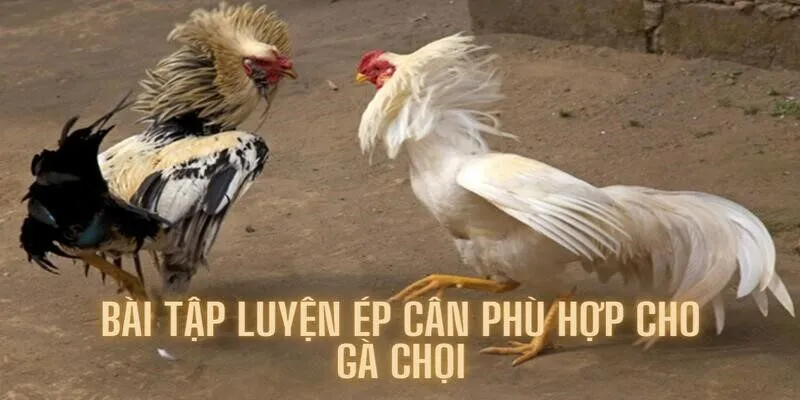 Bài tập kèm theo giúp cân bằng chế độ ăn