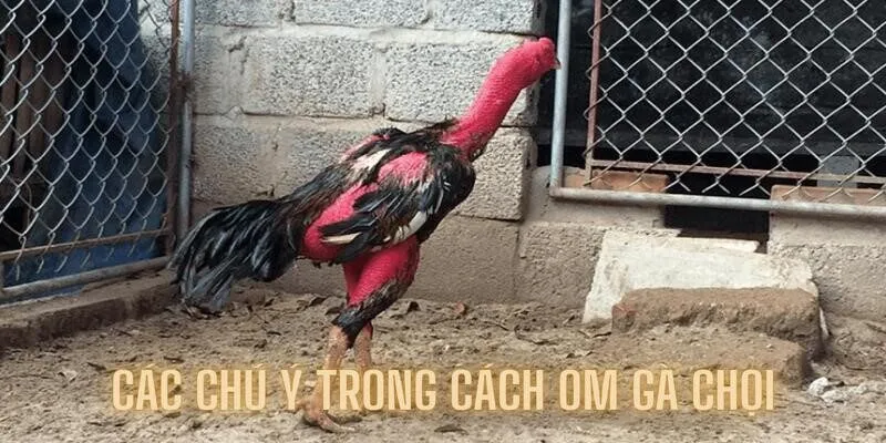 Chú ý quyết định sự thành bại của phương pháp om