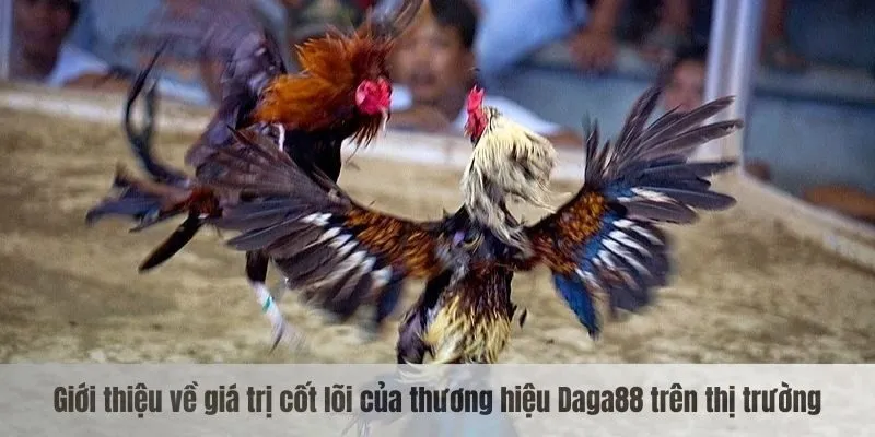 Giới thiệu về giá trị cốt lõi của thương hiệu Daga88 trên thị trường