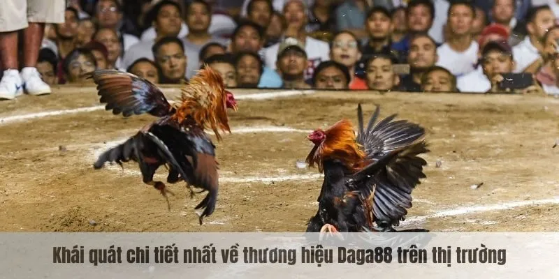 Khái quát chi tiết nhất về thương hiệu Daga88 trên thị trường