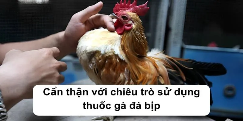 Cẩn thận với chiêu trò sử dụng thuốc gà đá bịp