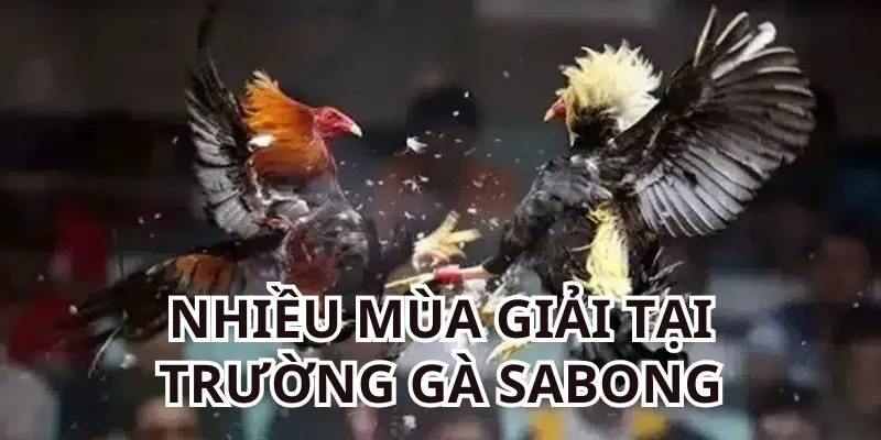 Sabong mang đến nhiều mùa giải khác nhau